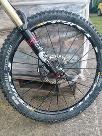 santa Cruz bronson 