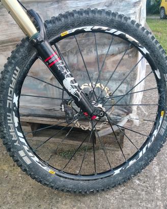 santa Cruz bronson 