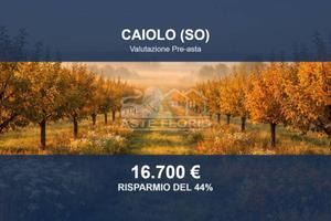 Immobile in asta di 1980 m² a Caiolo