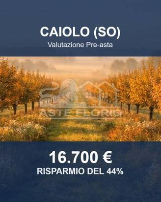 Immobile in asta di 1980 m² a Caiolo