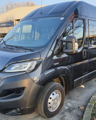 Pulmino Ducato 9 posti