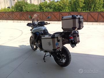 Triumph tiger 900 gt pro