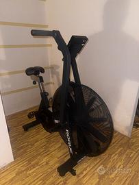 Echo Bike Rogue