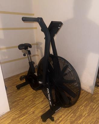 Echo Bike Rogue