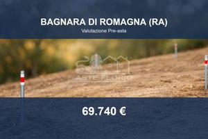 Immobile in asta di 7389 m² a Bagnara di Romagna