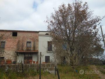 Rustico / Casale di 3500 m² con più di 5 locali a 