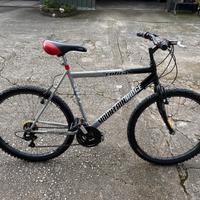 Mountain Bike Cobra 26 seminuova