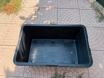 2 Piscina per cani
