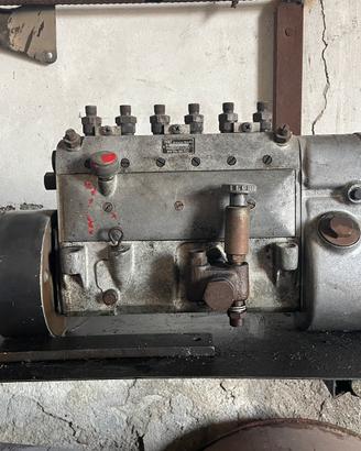 Pompa gasolio fiat 682