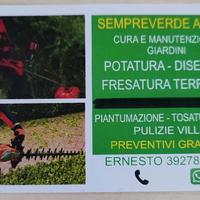 pulizie giardino