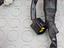 Immagine 26