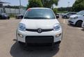 FIAT Panda III 2021 1.0 firefly hybrid s&s 70cv
