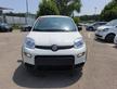 FIAT Panda III 2021 1.0 firefly hybrid s&s 70cv