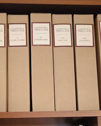 la piccola Treccani 12 volumi