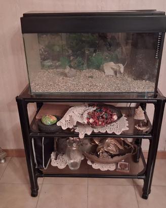 Acquario
