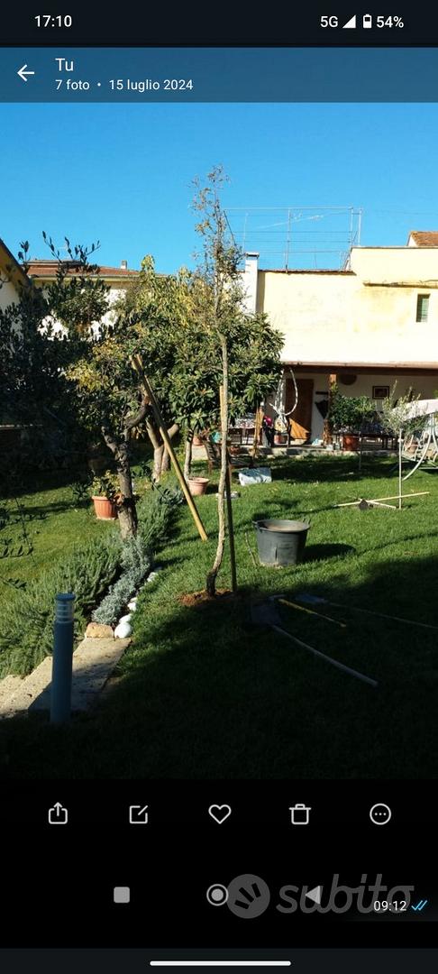 Terreno agricolo - Vista 2