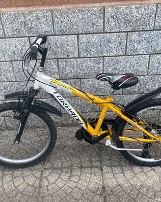 Bici bambino