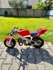 Polini minimoto 6,2Hp ruote 6,5 pollici
