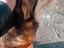 Immagine 3