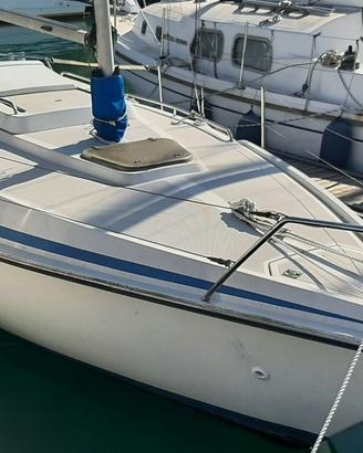 Barca a vela  Edel 6