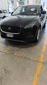 Jaguar 2019 disel