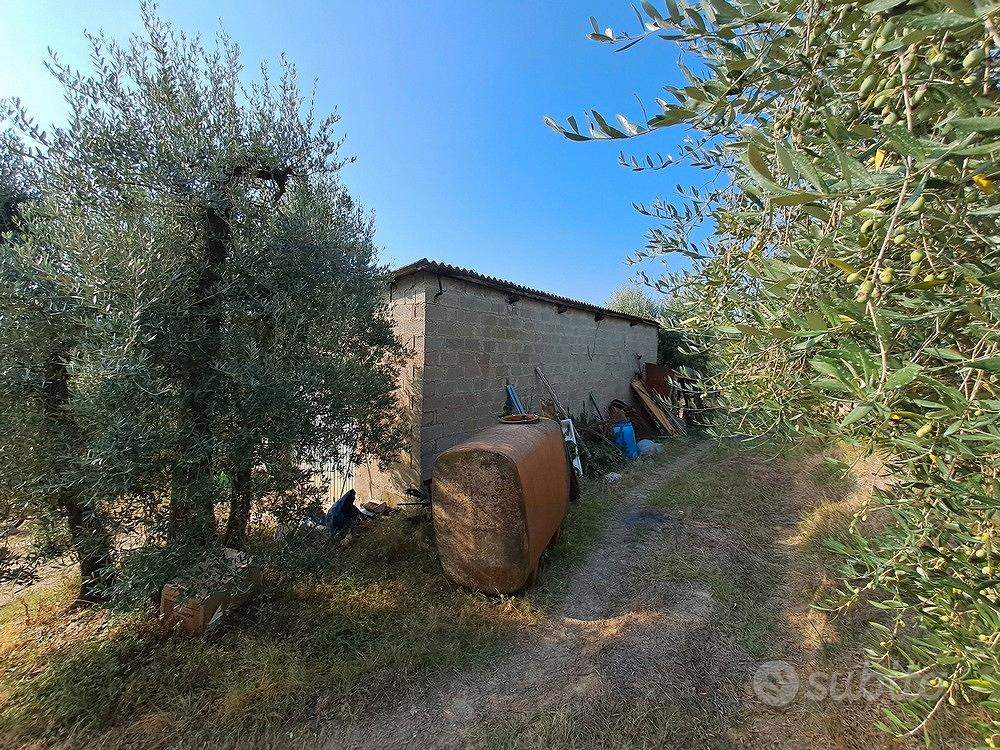 Podere in collina Terricciola Pisa - Vista 3