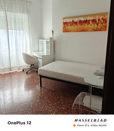 Stanza singola porta furba linea a