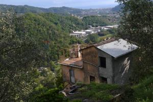 Rustico - Carasco