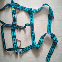 Imbrago arrampicata Camp bambini