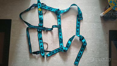 Imbrago arrampicata Camp bambini