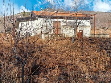 Zafferana Etnea loc. monte pomiciaro terreno