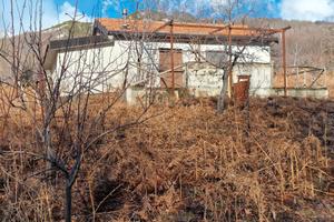 Zafferana Etnea loc. monte pomiciaro terreno