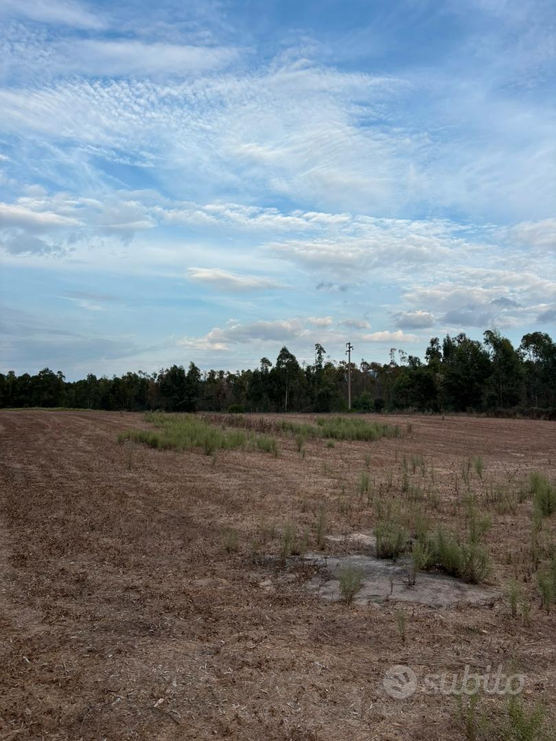 Terreno a Grui Maiori, Arborea - Altro
