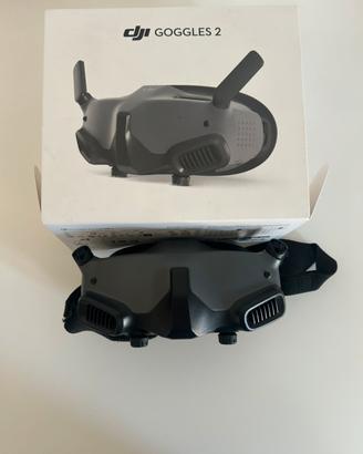 Dji Goggles 2