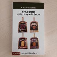 Breve storia della lingua italiana 