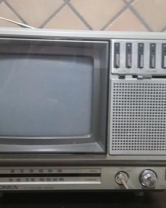 TV/Radio portatile vintage Orion