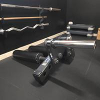 Leg Extension/Curl Pro Lacertosus