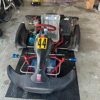 Kart pcr 100