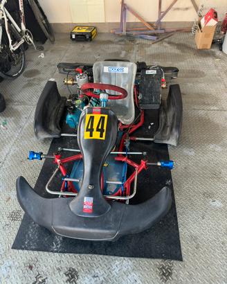 Kart pcr 100
