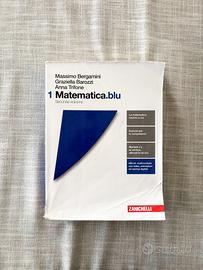 1 Matematica blu Seconda Edizione