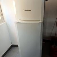 Frigorifero con congelatore