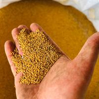 Seme di Trifoglio Alessandrino