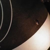 sacco da box dymos decatlon