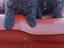 Immagine 1