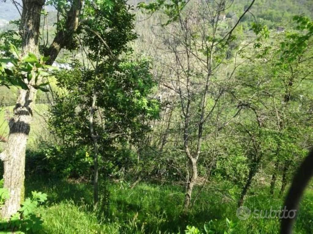 Immobile in asta di 11730 m² a Adrara San Martino - Vista 3