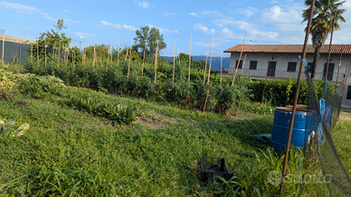 Casa singola con terreno edificabile