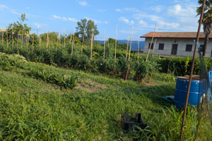 Casa singola con terreno edificabile