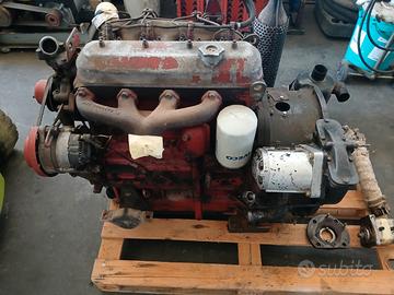 Motore OM 8045  - 4 Cil