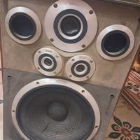 Amplificatore con equalizzatore professionale 