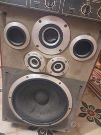 Amplificatore con equalizzatore professionale 